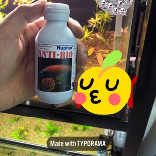 Thuốc trị nấm cho cá - Tự phân huỷ trong 24h