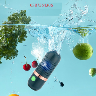 Máy khử khuẩn thực phẩm - máy khử trùng , tiệt trùng thực phẩm rửa trái cây, rau củ quả, thịt, cá,