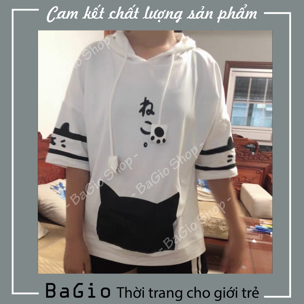 Áo phông hoodie cotton - áo thun unisex tay ngắn mùa hè in hình mèo cún | BigBuy360 - bigbuy360.vn