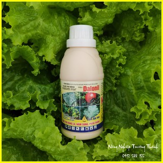 Dalonil 555SC - Đặc trị thán thư, sương mai, phấn trắng hoa hồng, nấm sung hoa cúc và cây trồng