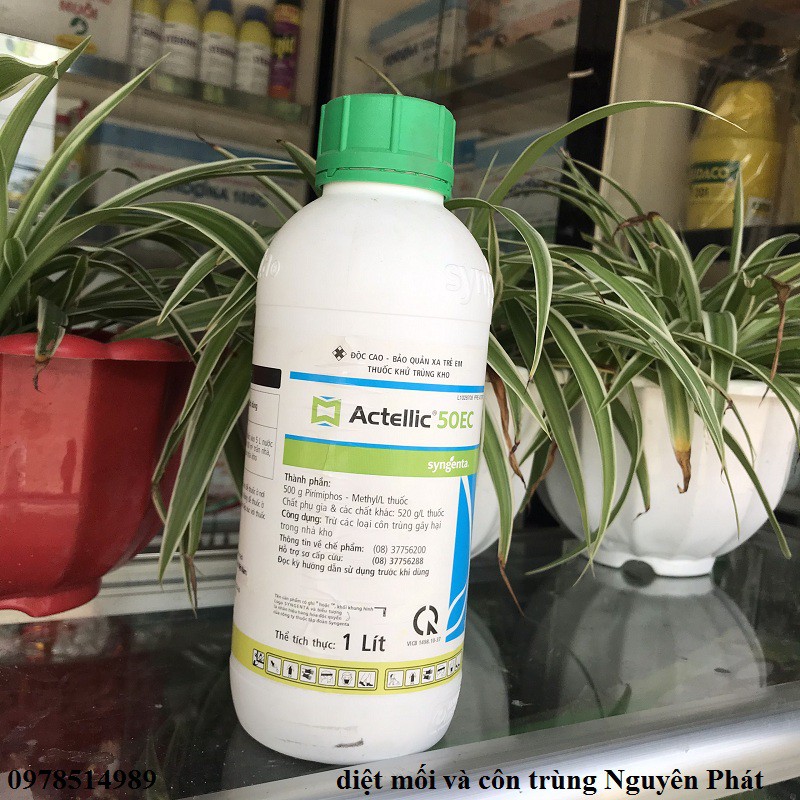 Thuốc phun khử trùng kho - diệt mọt nông sản Actellic 50EC