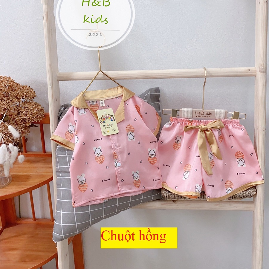 Bộ Mặc Nhà Cộc Tay  Cao Cấp Cho Bé - Pijama Lụa 3D Cao Cấp Cho Bé