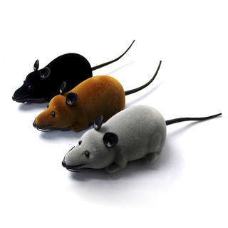 Fake mouse remote control toy for your pet