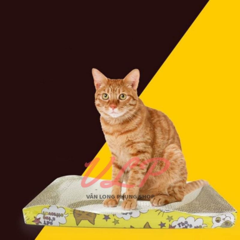 Bàn cào móng cho mèo / đồ chơi cho mèo