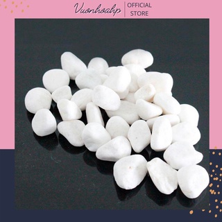 Sỏi trắng trang trí châụ cảnh 300g, sỏi trang trí bể cá, sỏi trắng