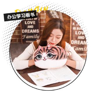Mèo 3D giữ ấm tay