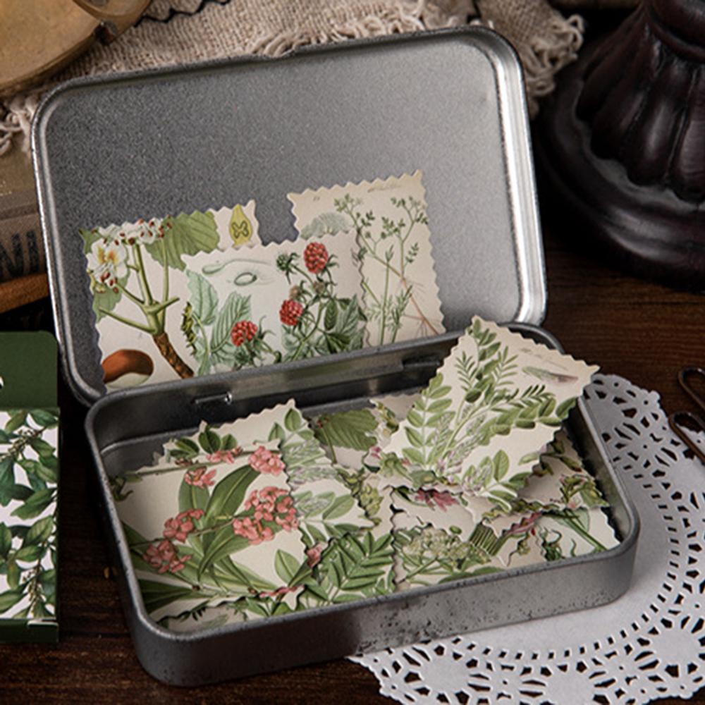 PEWANY Hạ gục cá chép 46 cái / gói 100 cái / gói 100 cái 100% 100% 100% 100% 100% 100% 100% 100% 100%