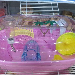 Lồng hamster biển Hawaii tươi mát