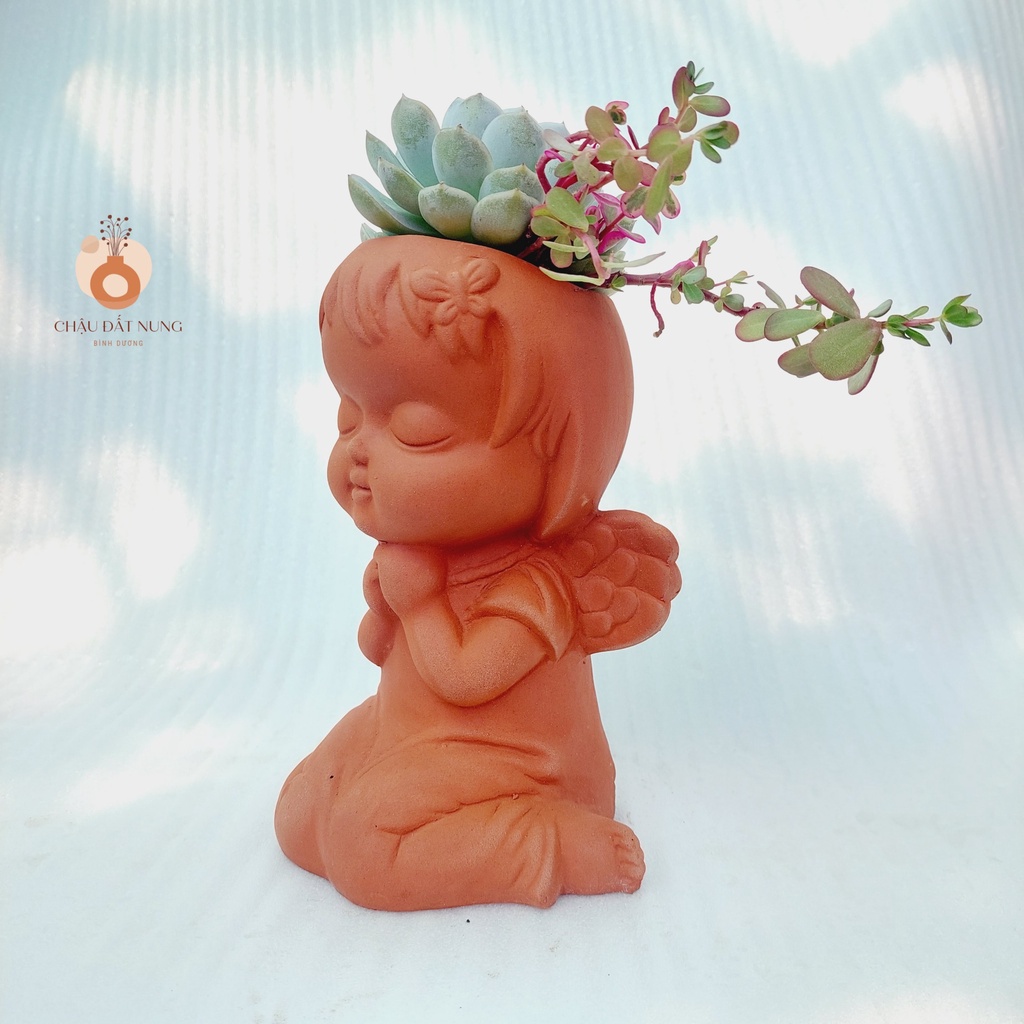 Chậu đất nung, Chậu sen đá - Cô gái Marshal - miệng chậu 8cm, chiều cao 20cm