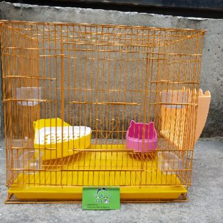 Lồng Sóc size trung