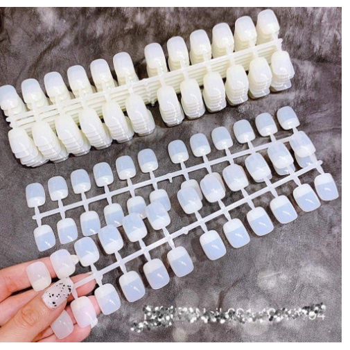 Móng Mẫu Tập Vẽ, móng tập vẽ 240 móng