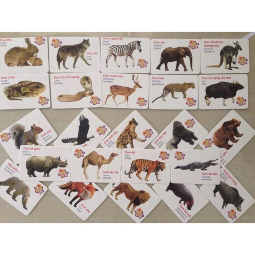 Hộp 416 thẻ học song ngữ Anh Việt cho bé