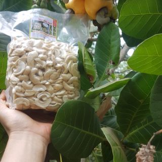 Hạt điều tươi Bình Phước 500gr