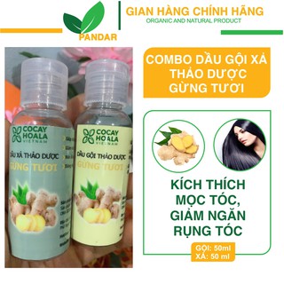 Dầu gội thảo dược gừng tươi, chai dùng thử 50 ml, PANDAR