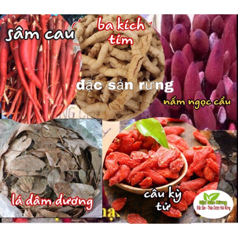  Sâm cau Đỏ Hàng Rừng Tây Bắc - 1kg loại To Nguyên củ