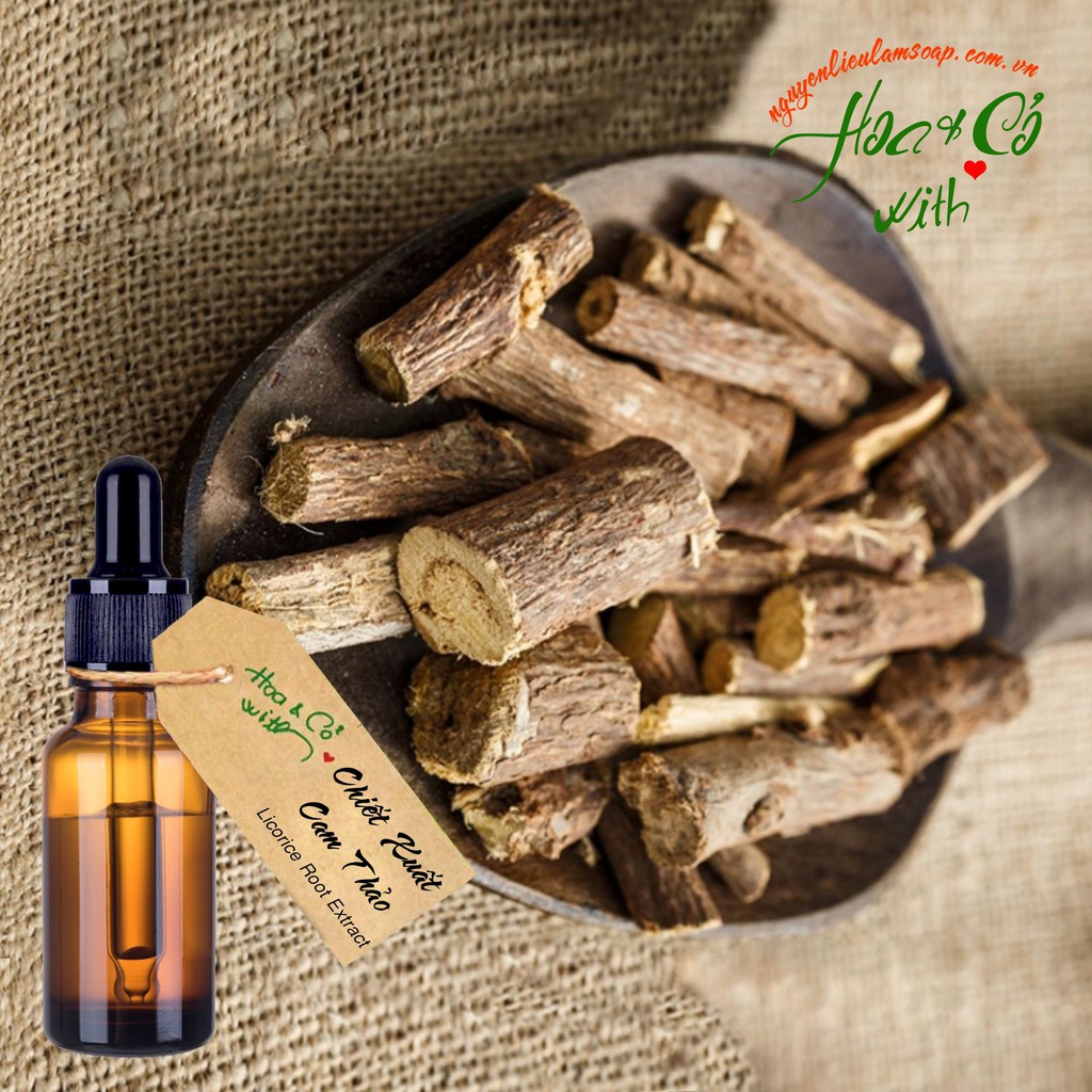 CHIẾT XUẤT CAM THẢO ( LICORICE ROOT EXTRACT )