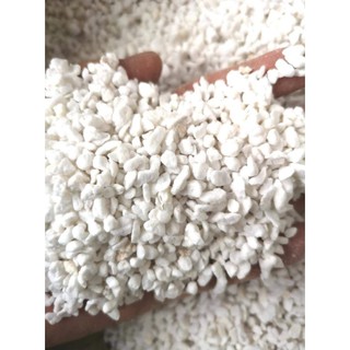 Đá Perlite Trân Châu