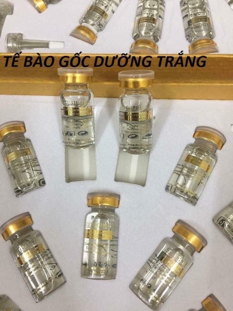 tế bào gốc cutiscura