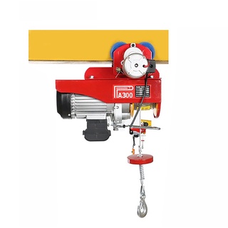 Combo Cẩu Trục Pa400 12m Có Rùa Điện đa năng.