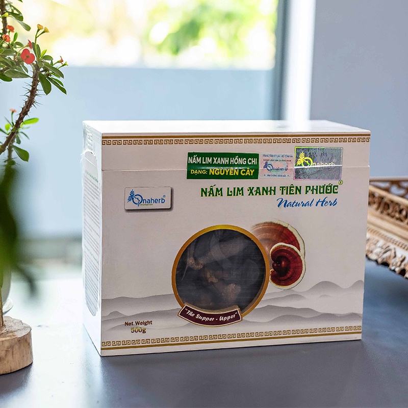 Nấm Lim Xanh Tiên Phước - Nguyên cây 500GR