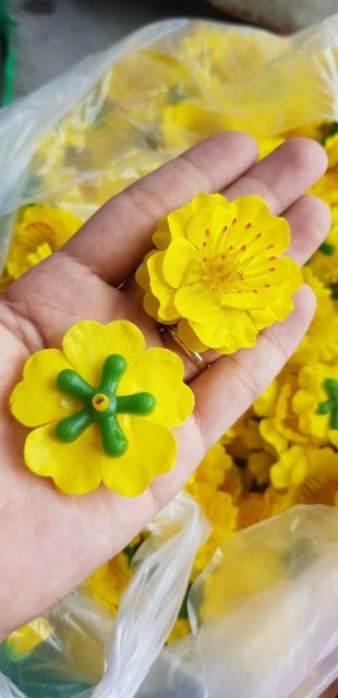 Đào mai bán theo túi 40 bông/ 1 túi