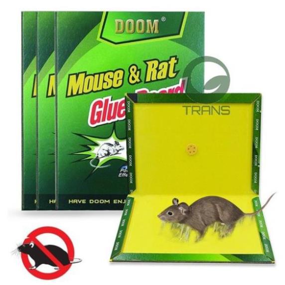 Keo Dính Chuột Có Lớp Keo Dày Siêu Dính Giá Gốc