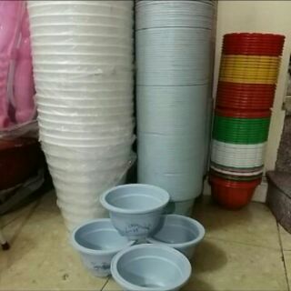 Chậu đường kính 20cm cao 12cm