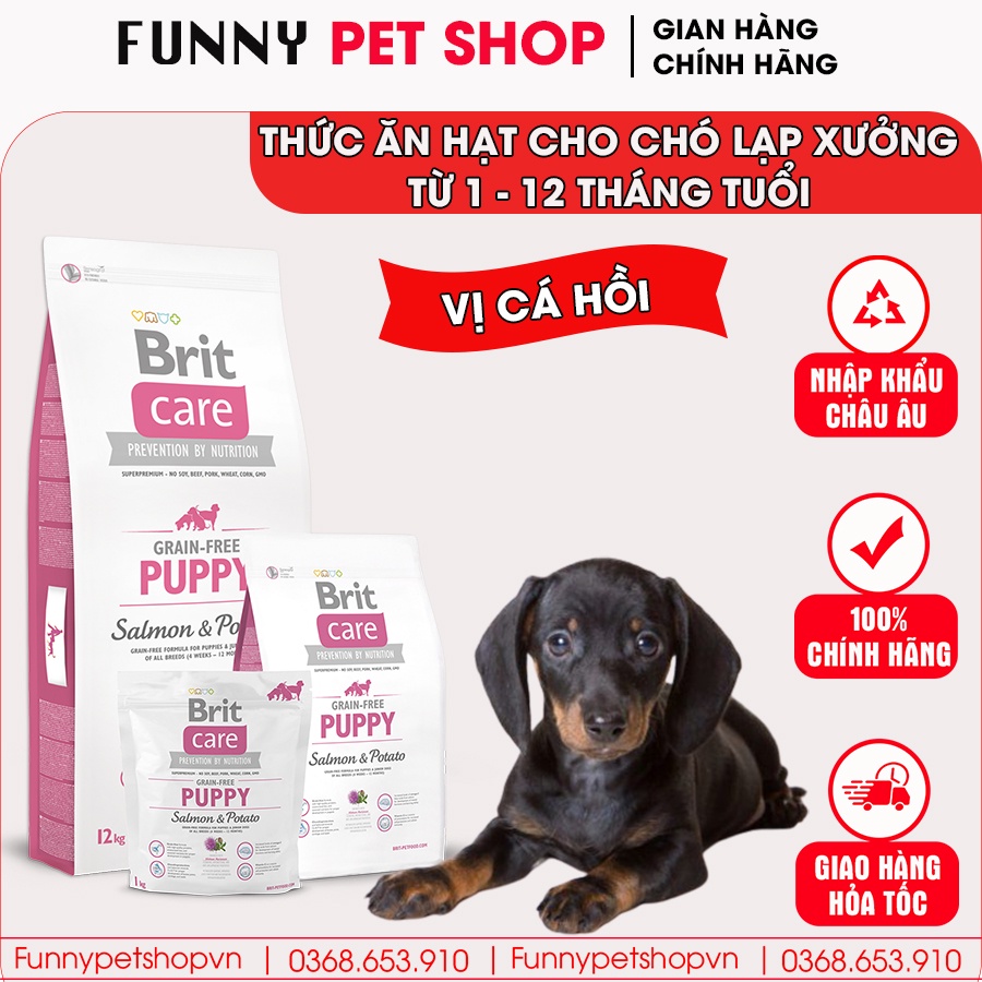 Hạt cho Lạp Xưởng vị cá hồi loại cao cấp sử dụng cho chó từ 1-12 tháng | Nhập khẩu Châu Âu, Top 1 Cộng Hòa Séc