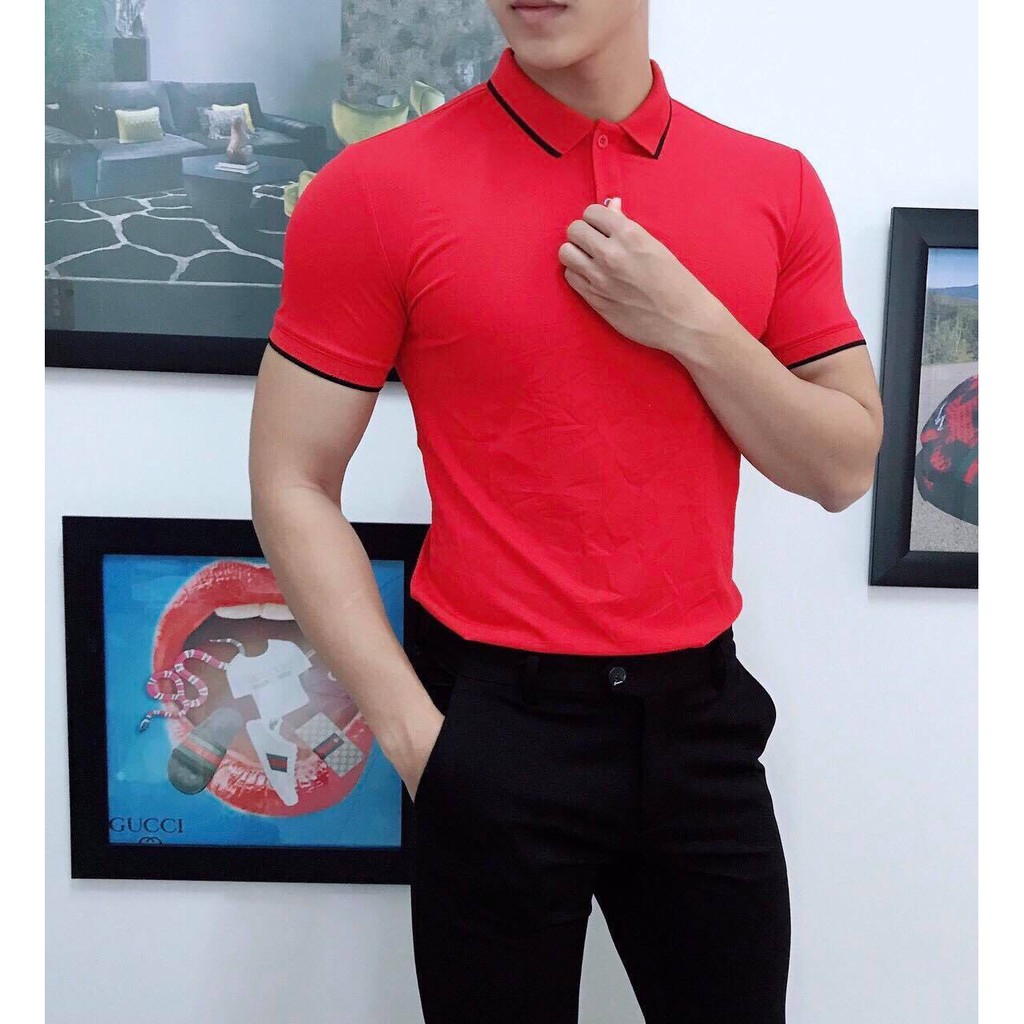Áo Polo Nam cất liệu da cá dáng đẹp | BigBuy360 - bigbuy360.vn