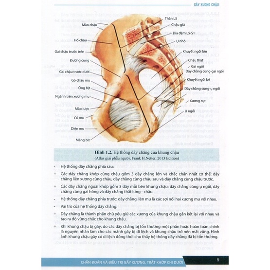 Sách - Chẩn đoán và điều trị gãy xương trật khớp chi dưới