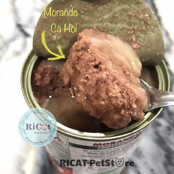 Pate Cho Mèo MORANDO Ý 8 Vị Lon 400g| Thức Ăn Cho Mèo Pate Morando