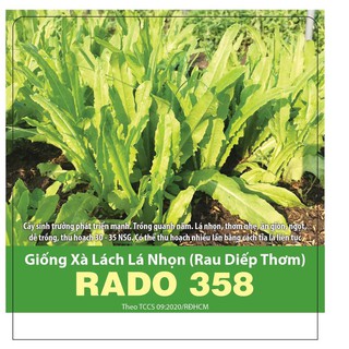 Gói 10g Hạt giống Xà Lách Lá Nhọn Rado 358 (Rau Nhiếp Diếp Thơm), Trồng Quanh Năm, Lá Thơm Nhẹ, Ăn giòn Ngọt