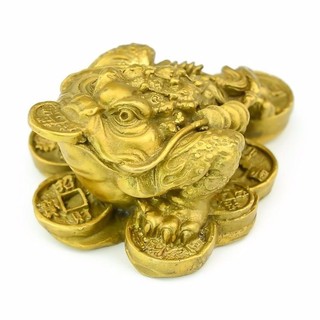 Cóc ngậm tiền T357