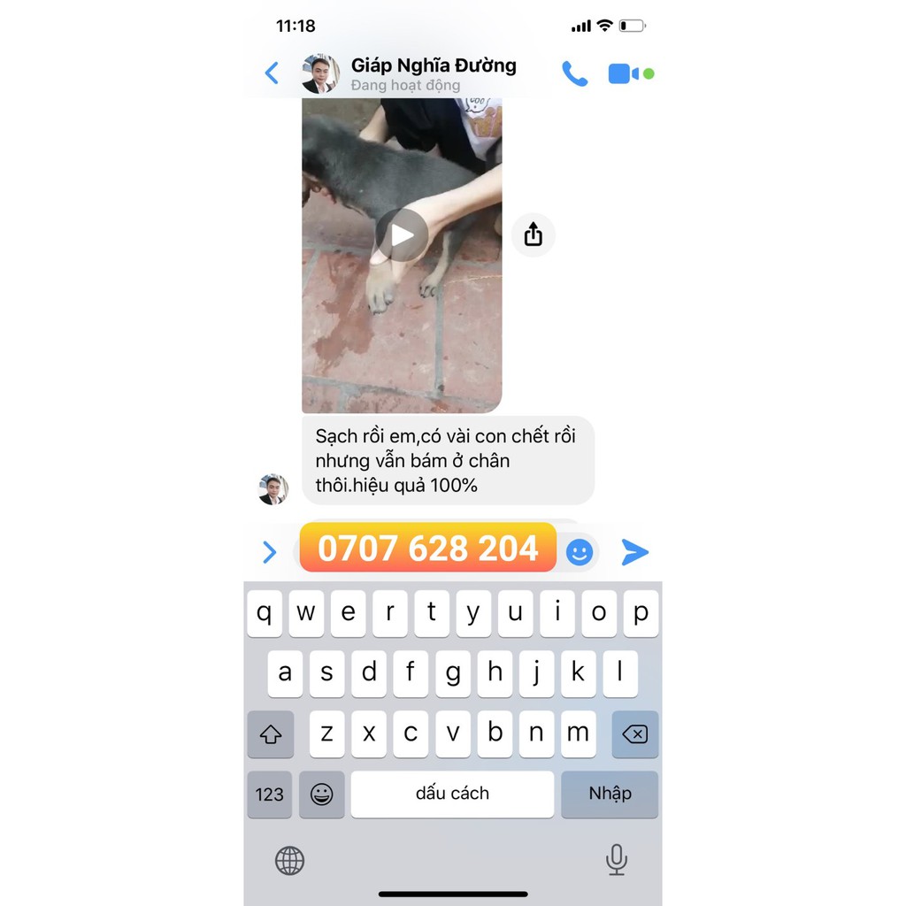 4 Gói Thảo Dược Diệt Ve Rận Bọ Chét Chó Mèo Tận Gốc- An Toàn Lành tính