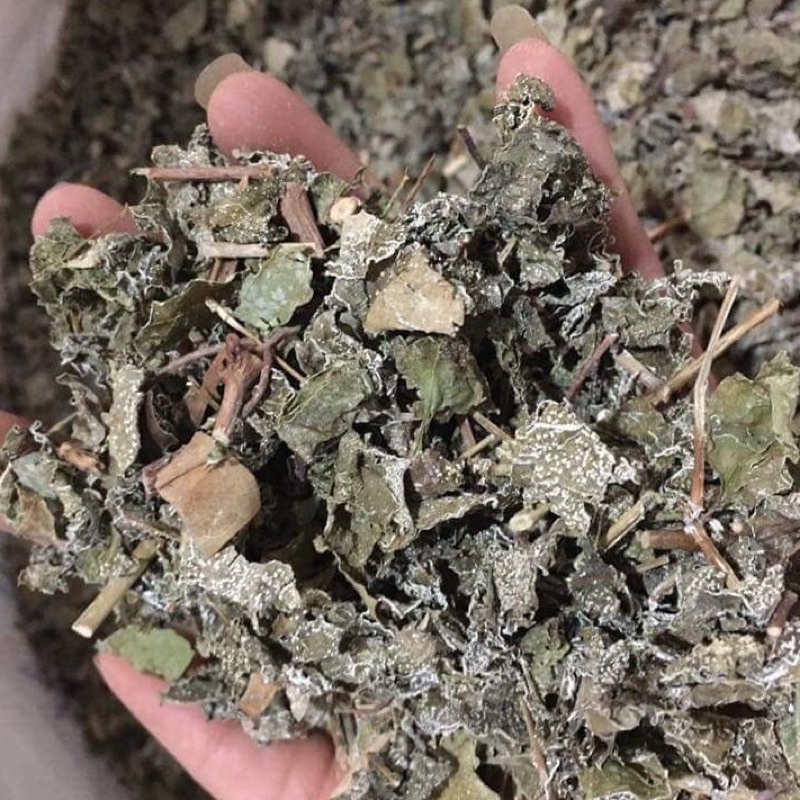 Chè dây cao bằng