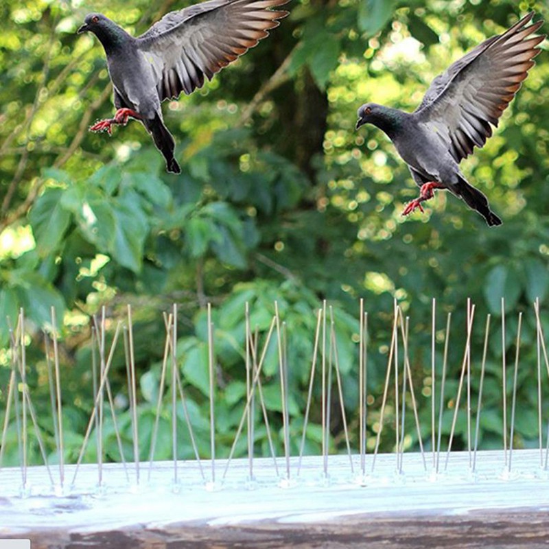 [baishangworshipwell♥]1PCS Stainless Steel Bird Repellent Spikes Anti Pigeon Nail Bird Deterrent Tools