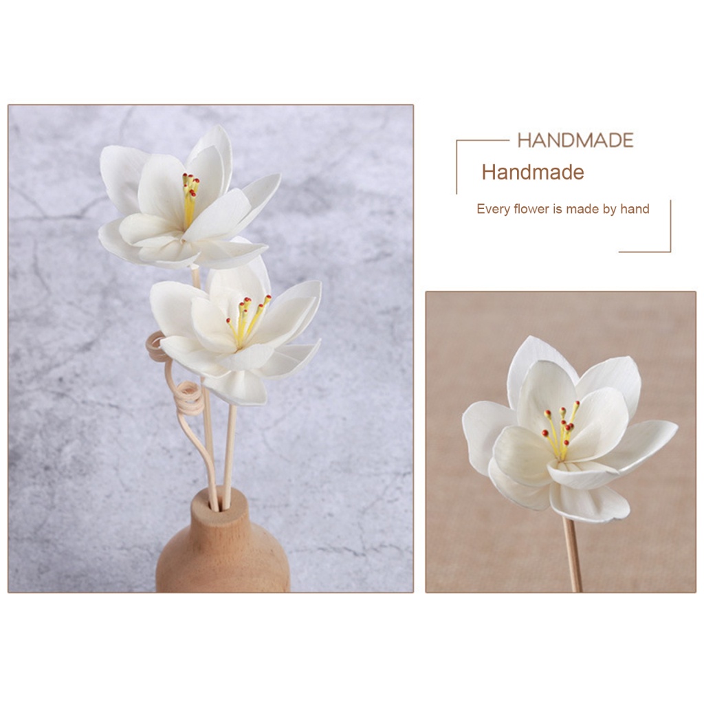 Set 5 Que Gỗ Khuếch Tán Hương Thơm Thay Thế Cho Spa / Nhà Ở / Văn Phòng