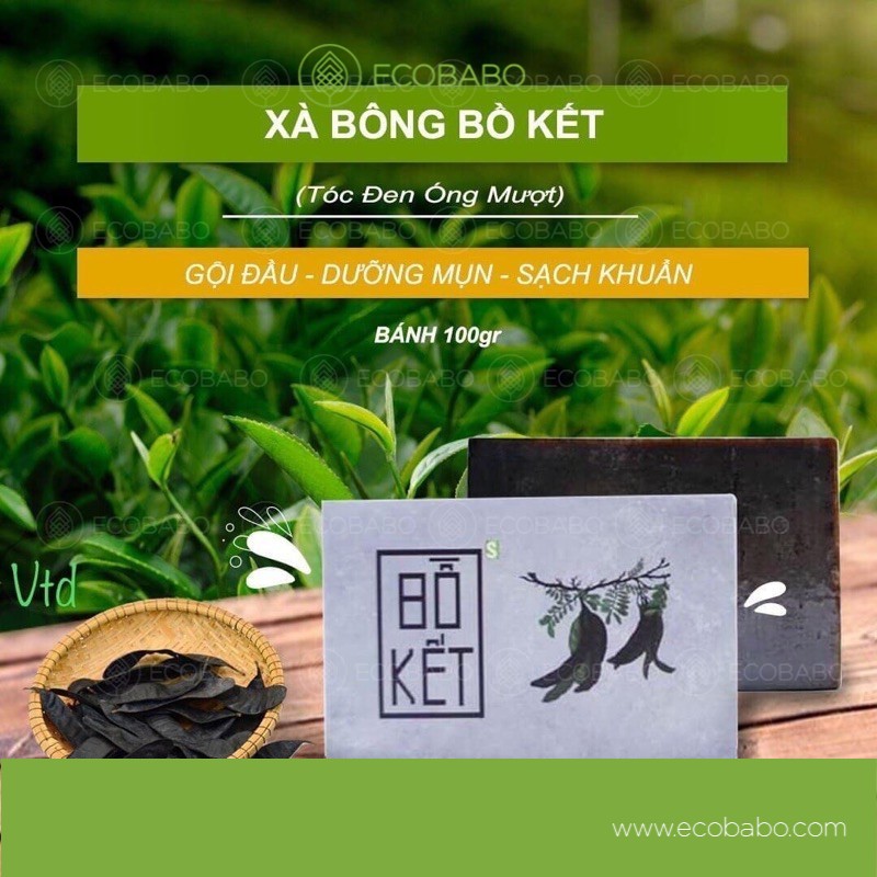 Xà bông bồ kết Sinh Dược - Xà phòng handmade - Ecobabo