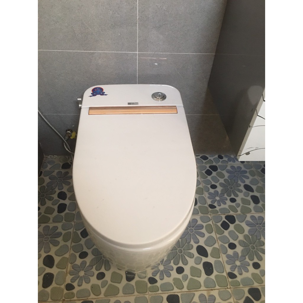 Bồn cầu thông minh tự động bệt thông minh Thiết Bị Vệ Sinh Cao Cấp smart intelligent toilet