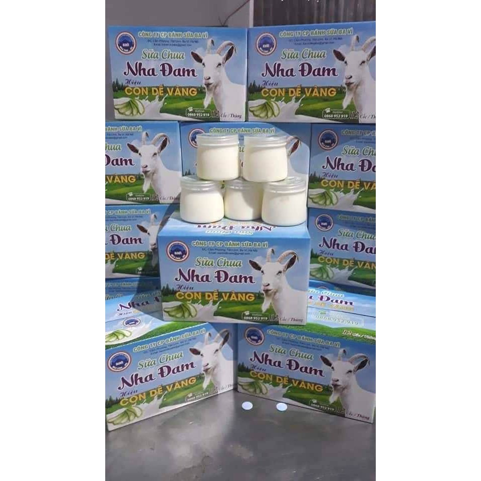 12 Hộp Sữa Chua Hiệu Công Ty Sữa Con Bò Vàng Ba Vì
