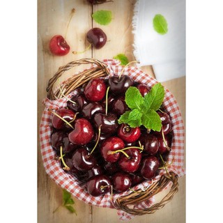 CÂY CHERRY MỸ