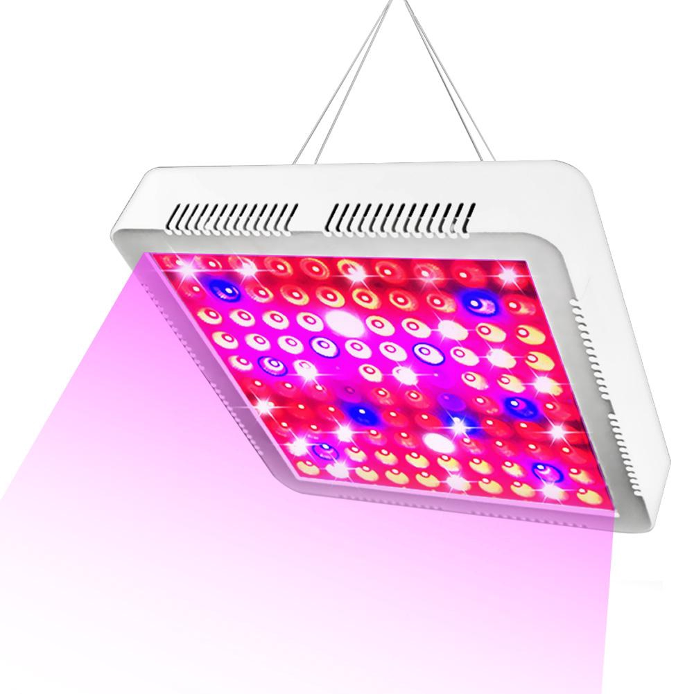 300W LED Grow Light cho cây trồng trong nhà - Full UV UV & IR Plant Grow Light cho Hydroponic Veg Bloom Seedling (300W)