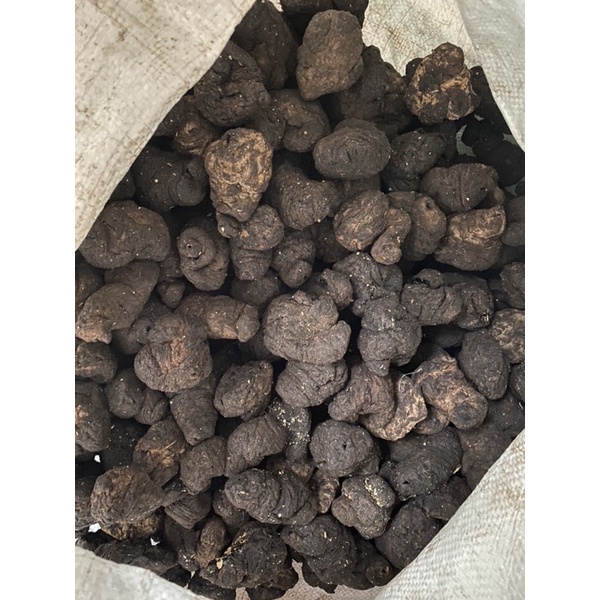 SINH ĐỊA LOẠI 1