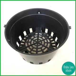 Chậu lan đen f14