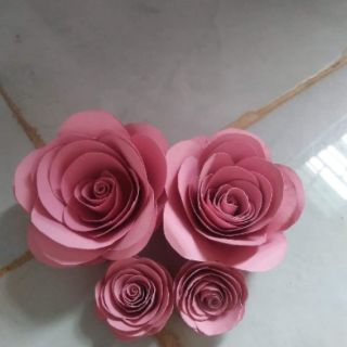 Bộ khuôn hoa hồng