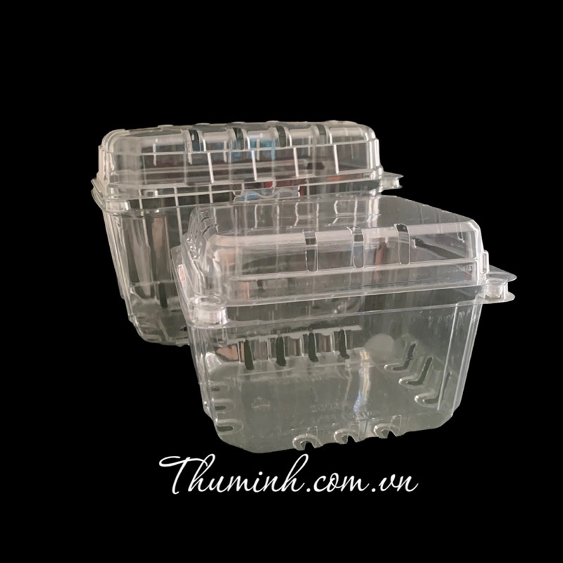 Hộp Nhựa Trong Đựng Trái Cây 500g / 1Kg