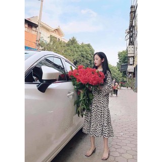 Đầm suông tay dài họa tiết da beo