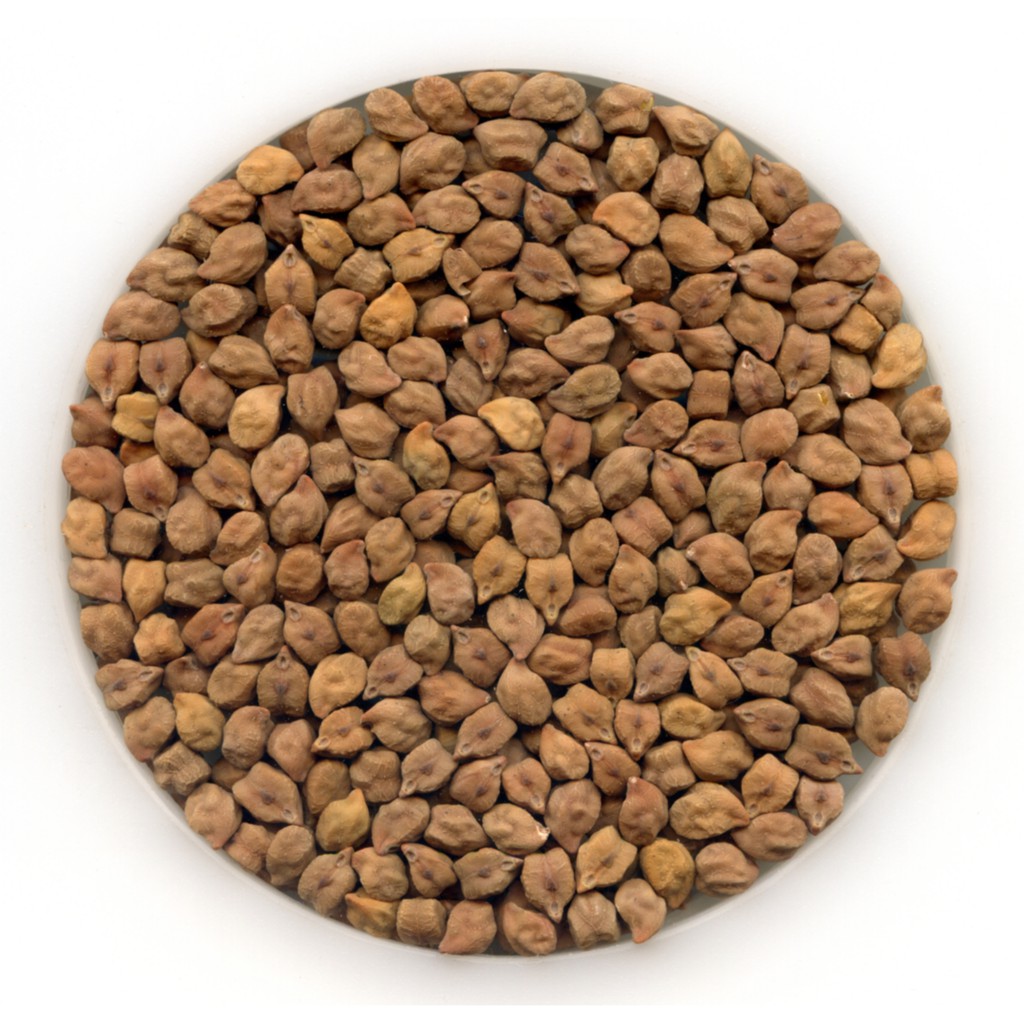 Đậu gà nâu 250g Ấn Độ [MUA 10 TẶNG 1]