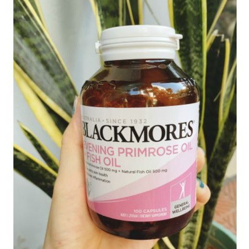 Viên uống tinh dầu hoa anh thảo Blackmores+fish oil mẫu mới lọ thủy tinh