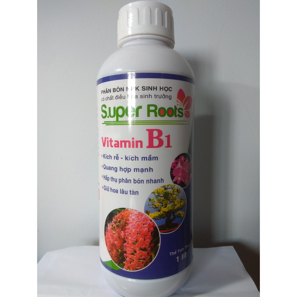 Vitamin B1 super roots kích rễ kích mầm, giữ hoa lâu tàn - chai 1 lít